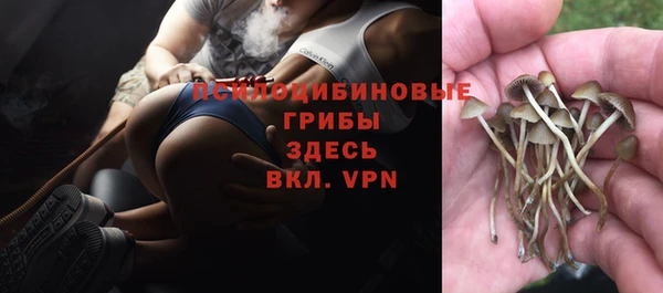 apvp Абаза