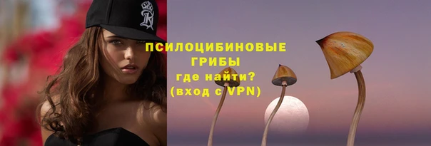 apvp Абаза