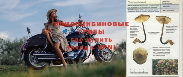 apvp Абаза