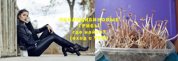 ECSTASY Абинск