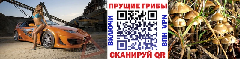 даркнет Telegram  Шенкурск  Галлюциногенные грибы ЛСД  мега как войти 